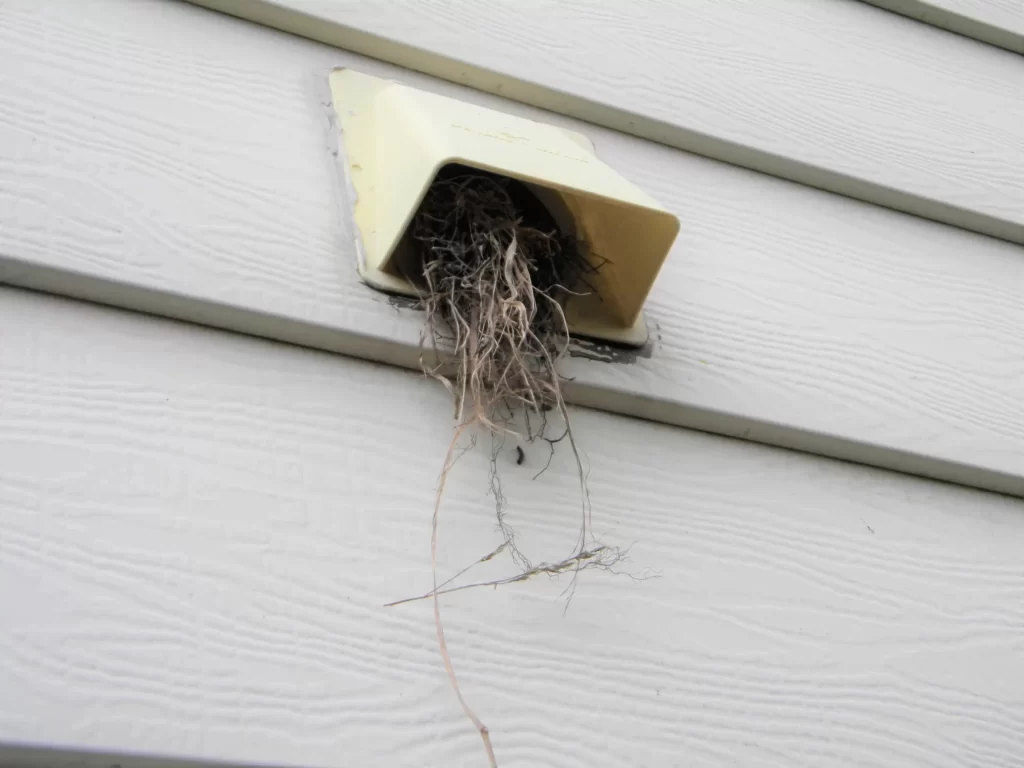 A clogged dryer vent filled with debris and nesting materials, creating a fire hazard and restricting airflow.
